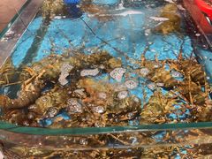 -阿伟海鲜楼·福建菜(延寿店)