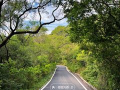 -马峦山郊野公园