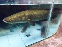 -龙达温泉生态城