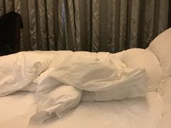 -桔子酒店(上海西藏北路地铁站店)