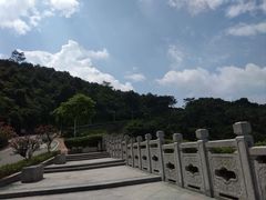-火炉山森林公园