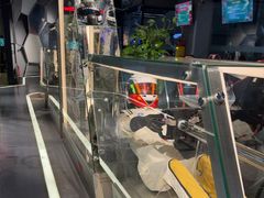 -魔赛卡丁车赛车汇(上海店)