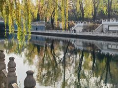 -南长河公园