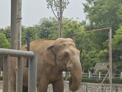 -石家庄市动物园