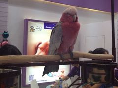 iphone_upload_pic-东浩兰生上海世博展览馆