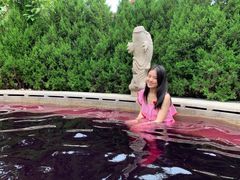 -大连金石滩绿发温泉假日酒店