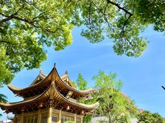 -上海东林寺(金山区)