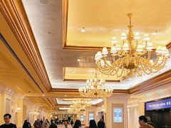 -澳门威尼斯人综合度假区