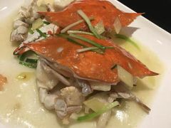 -碧丽宫大酒店(召稼楼店)