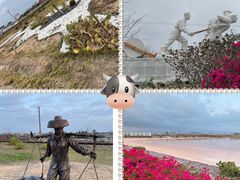 -莺歌海盐场