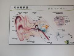 -耳朵树助听器人工耳蜗中心