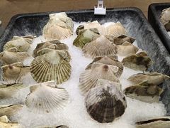 扇贝-盒马鲜生(岭南新世界店)