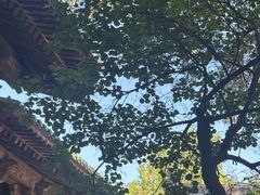 -窦大夫祠