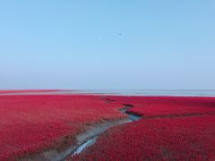 -红海滩国家风景廊道