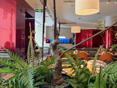 -老板恋上鱼(恒隆广场店)