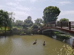 -径山花海
