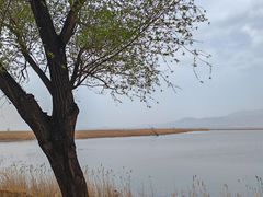 -野鸭湖国家湿地公园