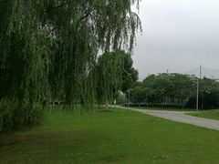 -九里河湿地公园