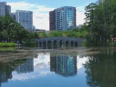 -四海公园(南山区)