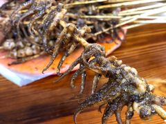 -十里铺铁板鱿鱼