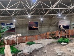 -中国第四纪冰川遗迹陈列馆