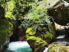 -西岭雪山大飞水景区