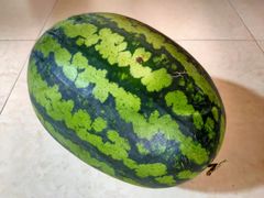 西瓜-东江海鲜酒家(艺都分店)