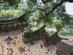 -杨家堂村