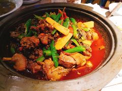 -猫头婴小酒馆FUN OWL(1912店)