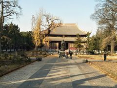 -苏州文庙(姑苏区)