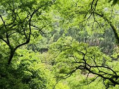 -丰都鬼城名山景区