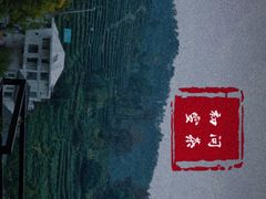 -西湖外事游船(花港观鱼码头)