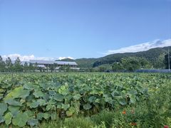 -东钱湖旅游度假区