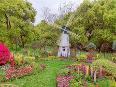 -上海共青森林公园