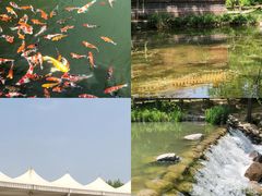 -郑州中国绿化博览园