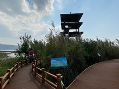 -漩门湾国家湿地公园