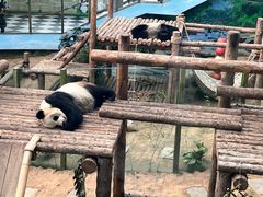 -大连森林动物园