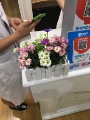 -MUSES专业脱毛比基尼サロン日式连锁