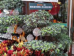 -龙泉人椰子鸡·糟粕醋·地标海南菜(龙昆南店)