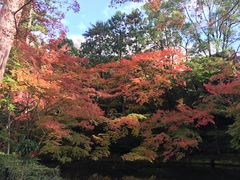 -维乐口腔医院(福清院)
