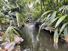 -广州兰圃