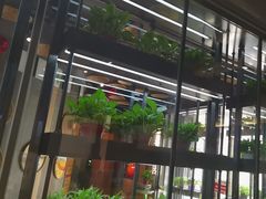-番食园鲜食火锅(高新店)