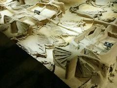 -洛阳周王城天子驾六博物馆