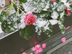 -颐和路民国时期公馆风貌区
