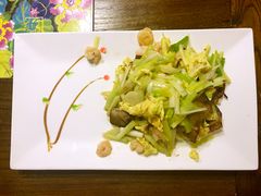 -院落创意菜
