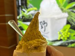 -野人先生现做冰淇淋(北京环宇荟店)