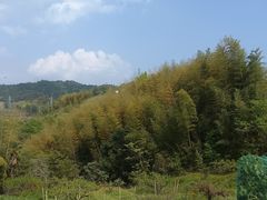 -杭州千岛湖滨江希尔顿度假酒店
