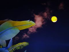 -乙十六·湖景