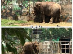 -西安秦岭野生动物园