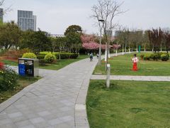 -尚贤河湿地